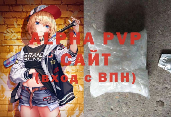 индика Няндома
