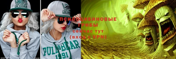spice Алексин