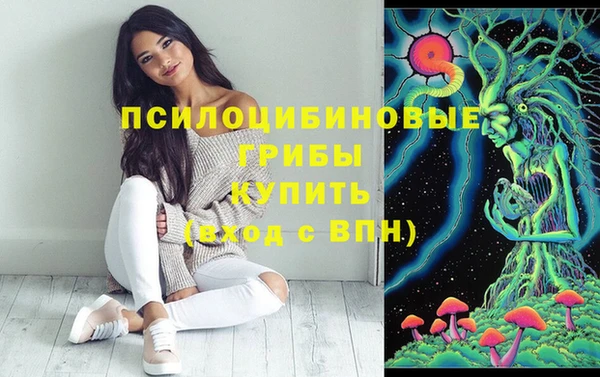 героин Алзамай
