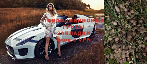 spice Алексин