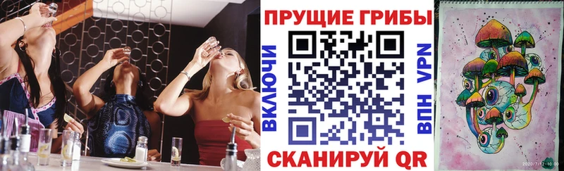 закладка  Зверево  маркетплейс состав  Псилоцибиновые грибы мицелий 